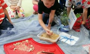 Dzień Polskiej Niezapominajki - Zdjęcie 37