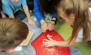Dzień Polskiej Niezapominajki - Zdjęcie 55