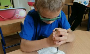 Dzień Polskiej Niezapominajki - Zdjęcie 67