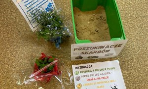 Dzień Polskiej Niezapominajki - Zdjęcie 76