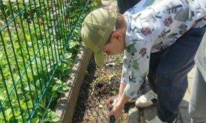 Dzień Polskiej Niezapominajki - Zdjęcie 90