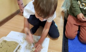 Dzień Polskiej Niezapominajki - Zdjęcie 130