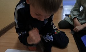 Dzień Polskiej Niezapominajki - Zdjęcie 148