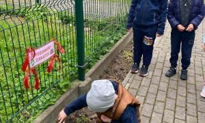 Dzień Polskiej Niezapominajki - Zdjęcie 101
