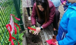 Dzień Polskiej Niezapominajki - Zdjęcie 103