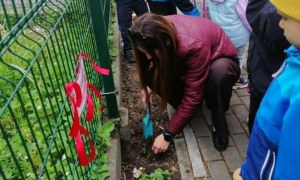 Dzień Polskiej Niezapominajki - Zdjęcie 110