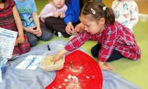 Dzień Polskiej Niezapominajki - Zdjęcie 125