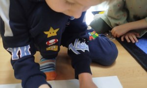 Dzień Polskiej Niezapominajki - Zdjęcie 135