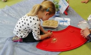 Dzień Polskiej Niezapominajki - Zdjęcie 139