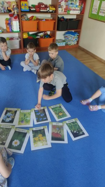 Żabki: Maj 2026 - Zdjęcie 25