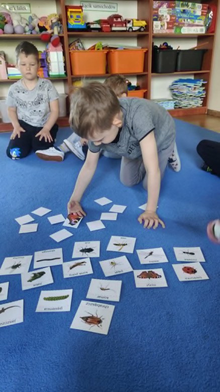Żabki: Maj 2026 - Zdjęcie 53