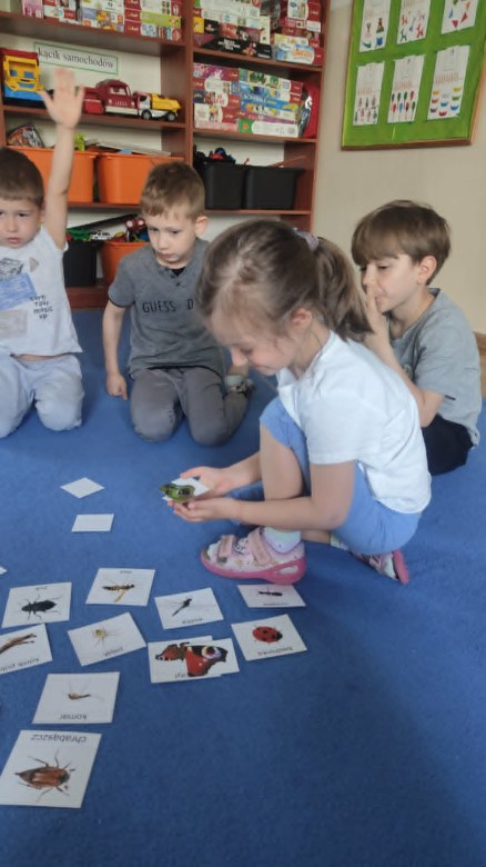 Żabki: Maj 2026 - Zdjęcie 85