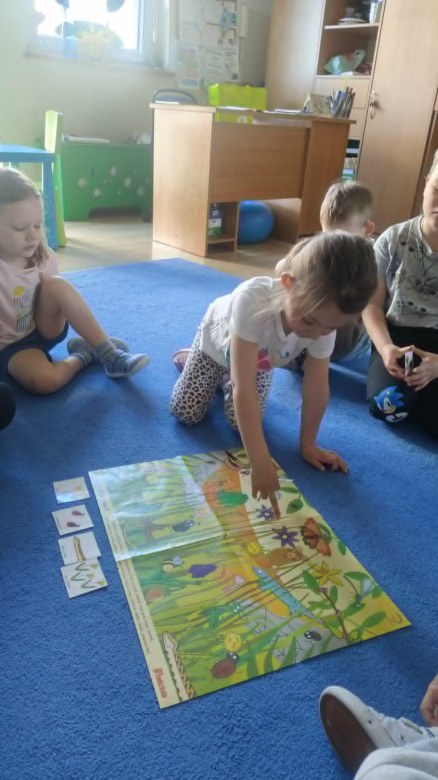 Żabki: Maj 2026 - Zdjęcie 120
