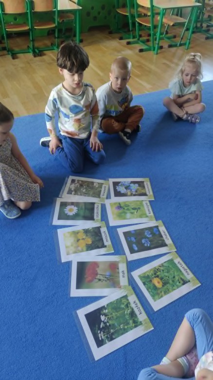 Żabki: Maj 2026 - Zdjęcie 3