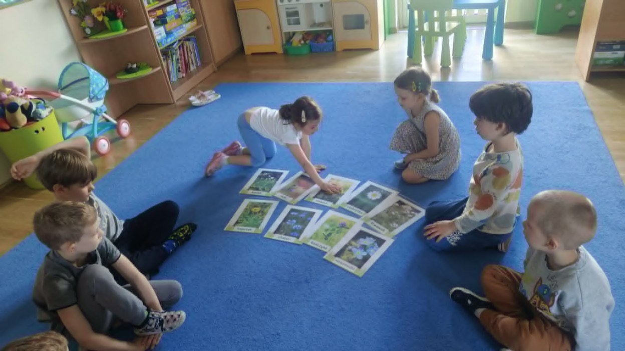 Żabki: Maj 2026 - Zdjęcie 82