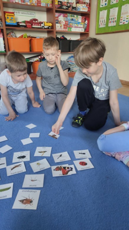 Żabki: Maj 2026 - Zdjęcie 89