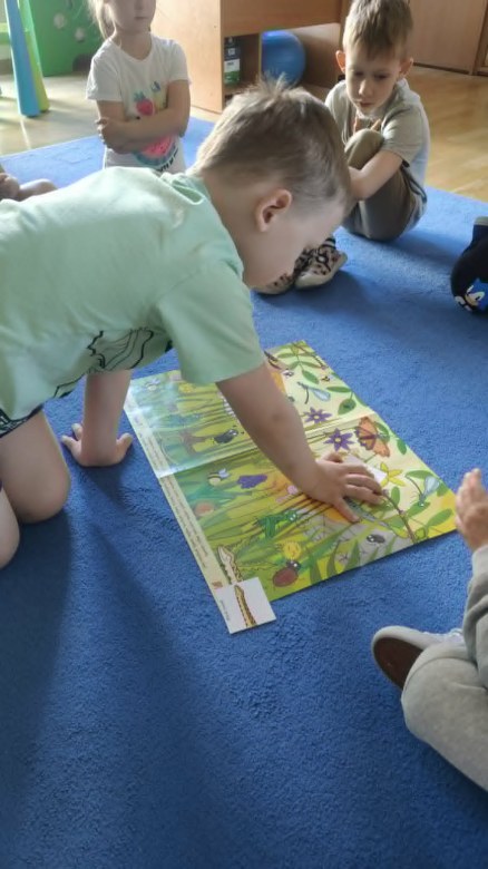 Żabki: Maj 2026 - Zdjęcie 99