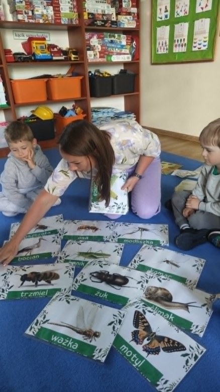 Żabki: Maj 2026 - Zdjęcie 109