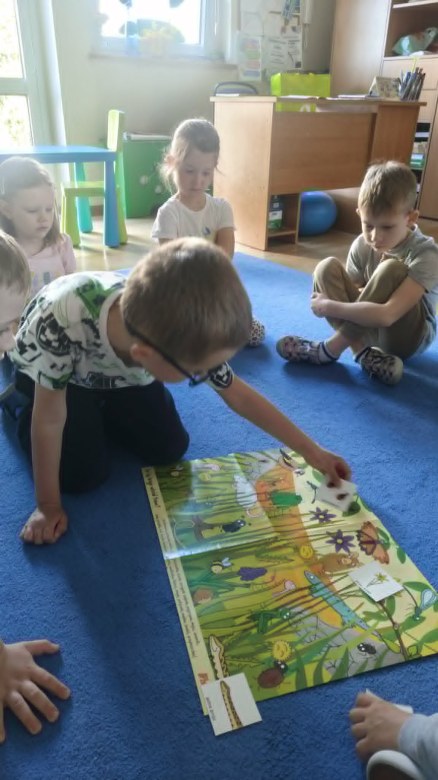 Żabki: Maj 2026 - Zdjęcie 178