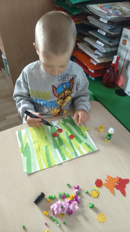 Żabki: Maj 2026 - Zdjęcie 205