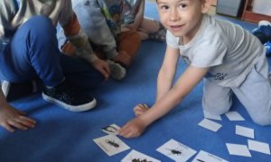Żabki: Maj 2026 - Zdjęcie 34