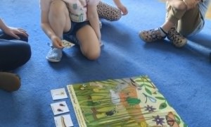 Żabki: Maj 2026 - Zdjęcie 36