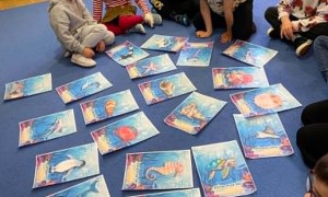 Żabki: Maj 2026 - Zdjęcie 43