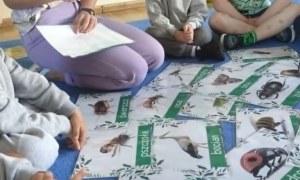 Żabki: Maj 2026 - Zdjęcie 146