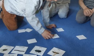 Żabki: Maj 2026 - Zdjęcie 147