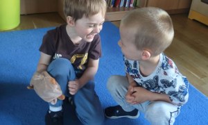 Żabki: Maj 2026 - Zdjęcie 176