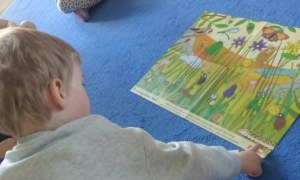 Żabki: Maj 2026 - Zdjęcie 184