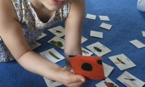 Żabki: Maj 2026 - Zdjęcie 197