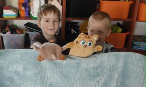 Żabki: Maj 2026 - Zdjęcie 69