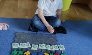 Żabki: Maj 2026 - Zdjęcie 77