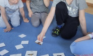 Żabki: Maj 2026 - Zdjęcie 89