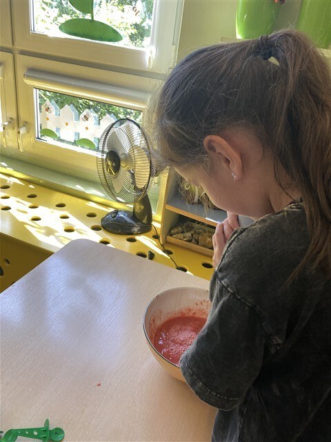 Misie: Maj 2026 - Zdjęcie 45