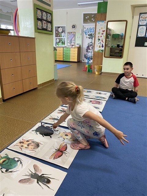 Misie: Maj 2026 - Zdjęcie 135