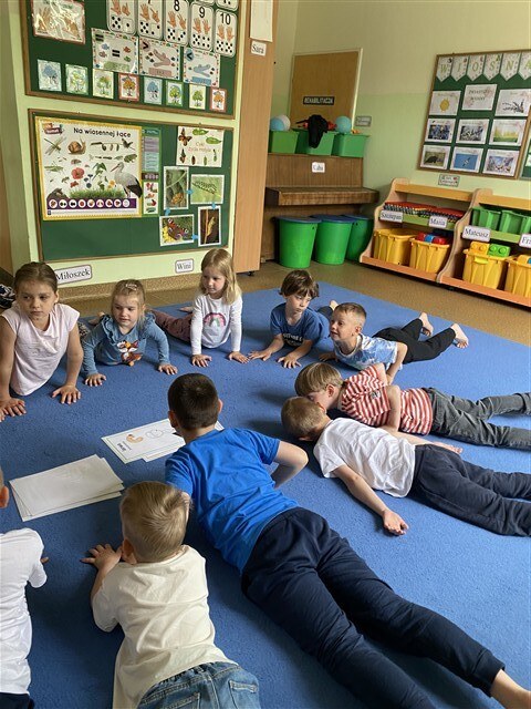 Misie: Maj 2026 - Zdjęcie 172