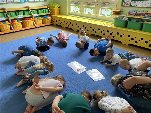 Misie: Maj 2026 - Zdjęcie 175