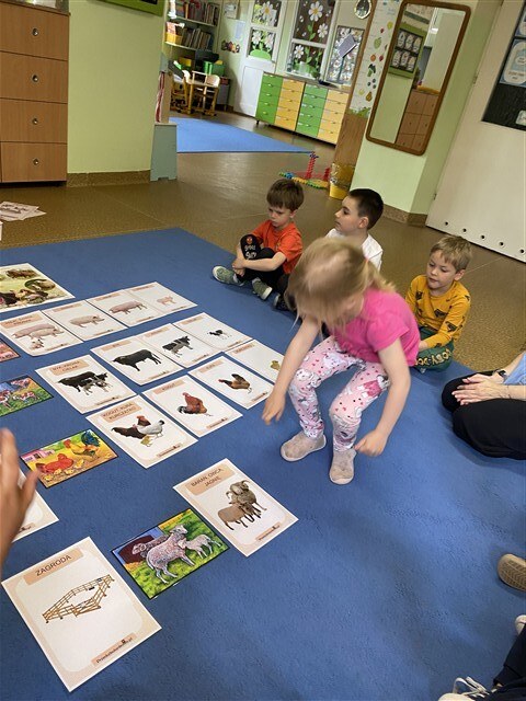 Misie: Maj 2026 - Zdjęcie 185