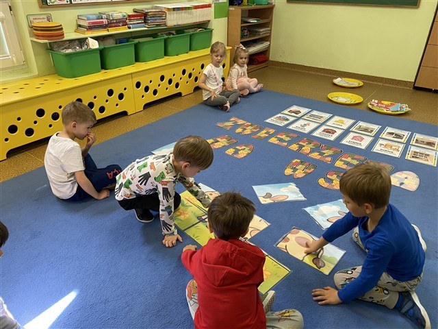 Misie: Maj 2026 - Zdjęcie 239