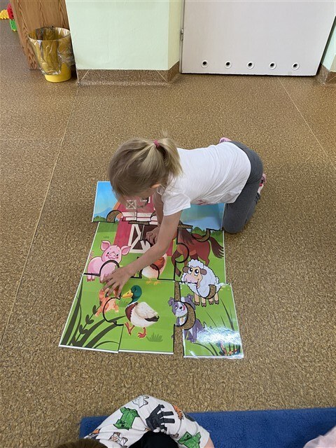 Misie: Maj 2026 - Zdjęcie 248