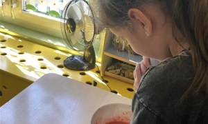 Misie: Maj 2026 - Zdjęcie 45