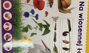 Misie: Maj 2026 - Zdjęcie 61
