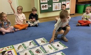 Misie: Maj 2026 - Zdjęcie 67