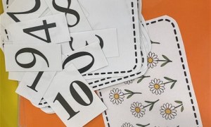 Misie: Maj 2026 - Zdjęcie 83