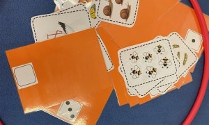 Misie: Maj 2026 - Zdjęcie 106