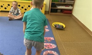 Misie: Maj 2026 - Zdjęcie 119