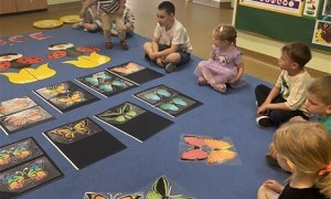 Misie: Maj 2026 - Zdjęcie 128
