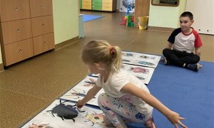 Misie: Maj 2026 - Zdjęcie 135